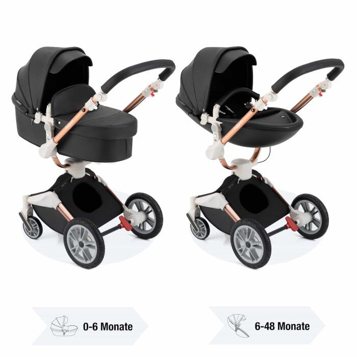 Daliya&reg; TURNIYO 2in1 Kinderwagen 360&deg;drehbar (Farbauswahl)