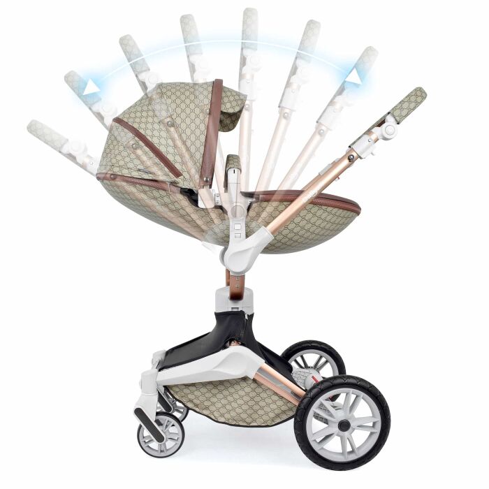 Daliya® TURNIYO 2in1 Kinderwagen 360°drehbar (Braun mit Motiv)