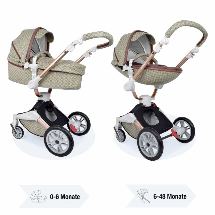 Daliya&reg; TURNIYO 2in1 Kinderwagen 360&deg;drehbar (Braun mit Motiv)