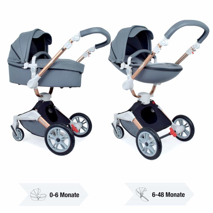 Daliya® TURNIYO 2in1 Kinderwagen 360°drehbar (Dunkelgrau)