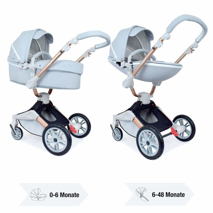 Daliya&reg; TURNIYO 2in1 Kinderwagen 360&deg;drehbar (Grau)