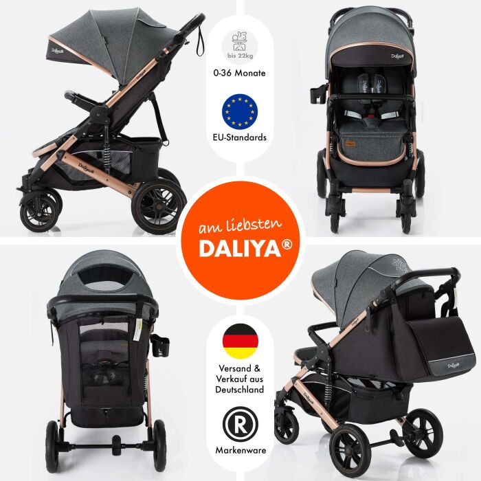 Daliya® RAPIDY Buggy Kinderwagen (Dunkelgrau-Gold)