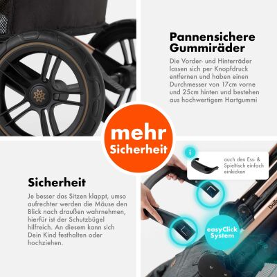 Daliya® RAPIDY Buggy Kinderwagen (Dunkelgrau-Gold)