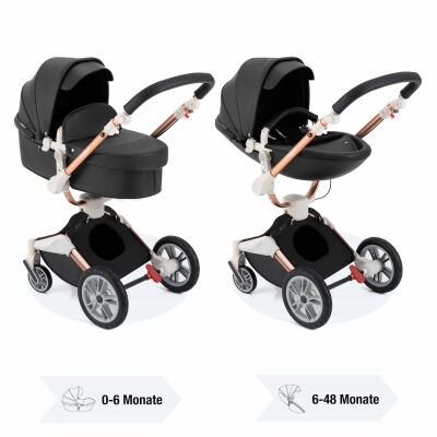 Daliya&reg; TURNIYO 2in1 Kinderwagen 360&deg;drehbar (Schwarz)