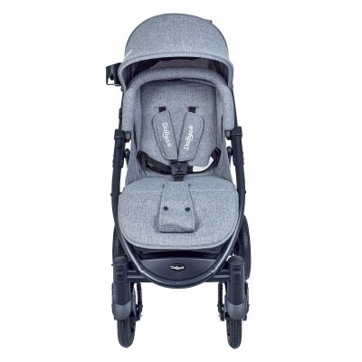 Daliya® VARIYO Buggy Kinderwagen (Grau)