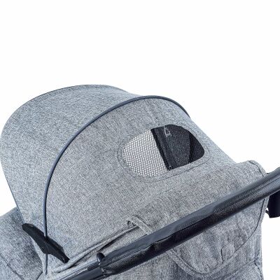 Daliya® VARIYO Buggy Kinderwagen (Grau)