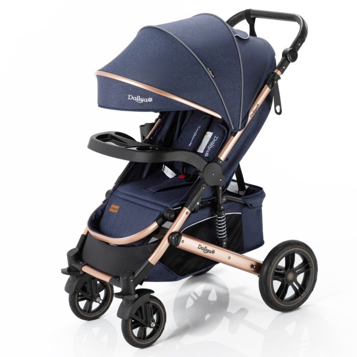 Daliya® RAPIDY Buggy Kinderwagen (Blau-Gold)