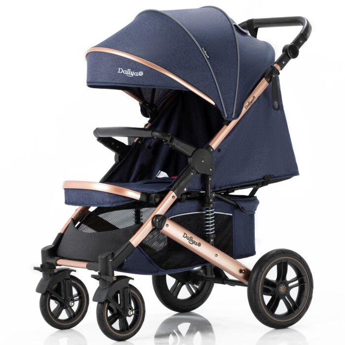 Daliya® RAPIDY Buggy Kinderwagen (Blau-Gold)