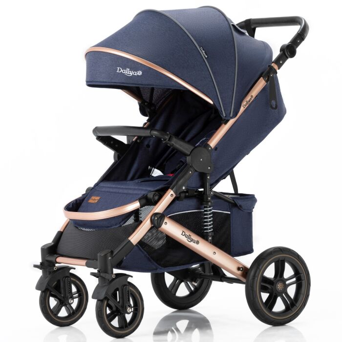 Daliya® RAPIDY Buggy Kinderwagen (Blau-Gold)