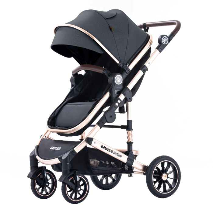 Daliya® NEOMOVE 2in1 Kinderwagen & Buggy (Gold-Dunkelgrau)