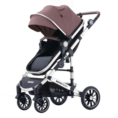 Daliya® NEOMOVE 2in1 Kinderwagen & Buggy (Silber-Violett)