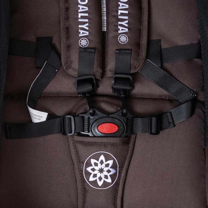 Daliya® BAMBIMO 2in1 Kinderwagen & Buggy (Braun - Gold)
