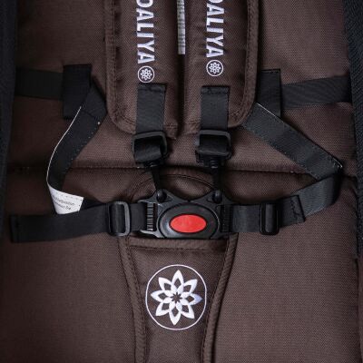 Daliya® BAMBIMO 2in1 Kinderwagen & Buggy (Braun - Gold)