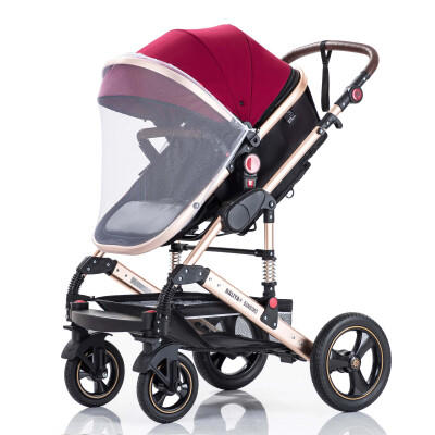 Daliya® BAMBIMO 2in1 Kinderwagen & Buggy (Bordeaux Rot - Gold)