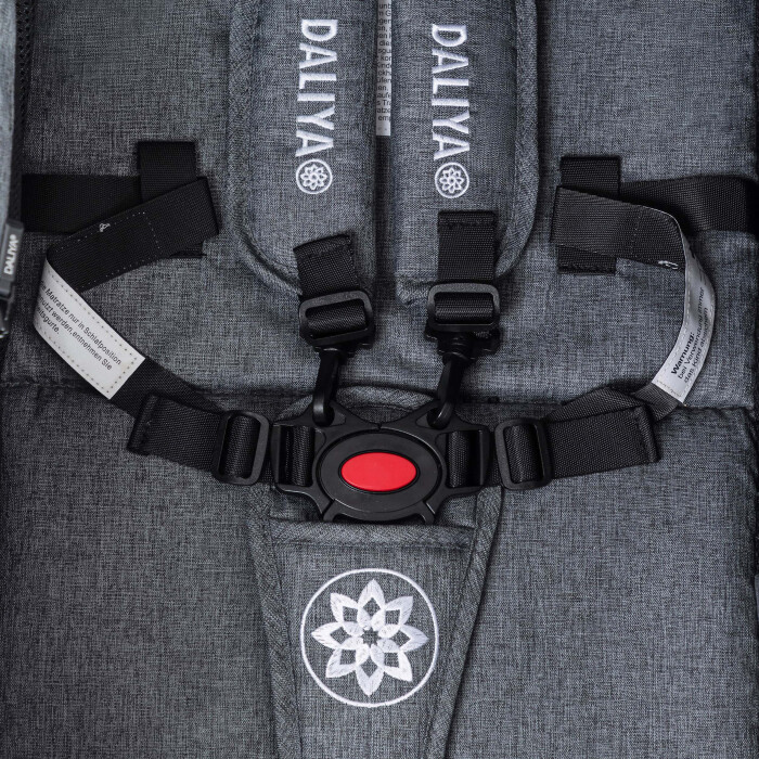 Daliya® BAMBIMO 2in1 Kinderwagen & Buggy (Dunkelgrau - Schwarz)
