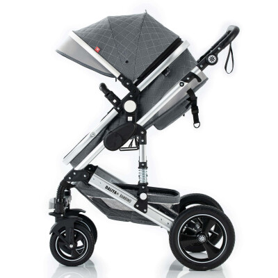 Daliya® BAMBIMO 2in1 Kinderwagen & Buggy (Dunkelgrau - Schwarz)