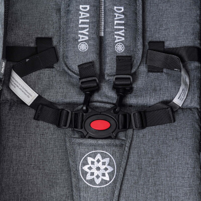 Daliya® BAMBIMO 2in1 Kinderwagen & Buggy (Dunkelgrau - Schwarz)