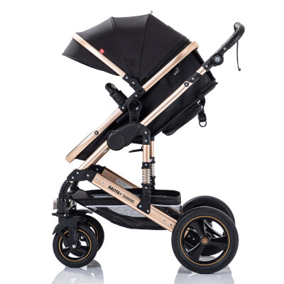 Daliya® BAMBIMO 2in1 Kinderwagen & Buggy (Schwarz - Gold)