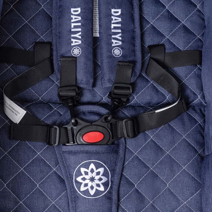 Daliya® BAMBIMO 2in1 Kinderwagen & Buggy (Blau - Silber)